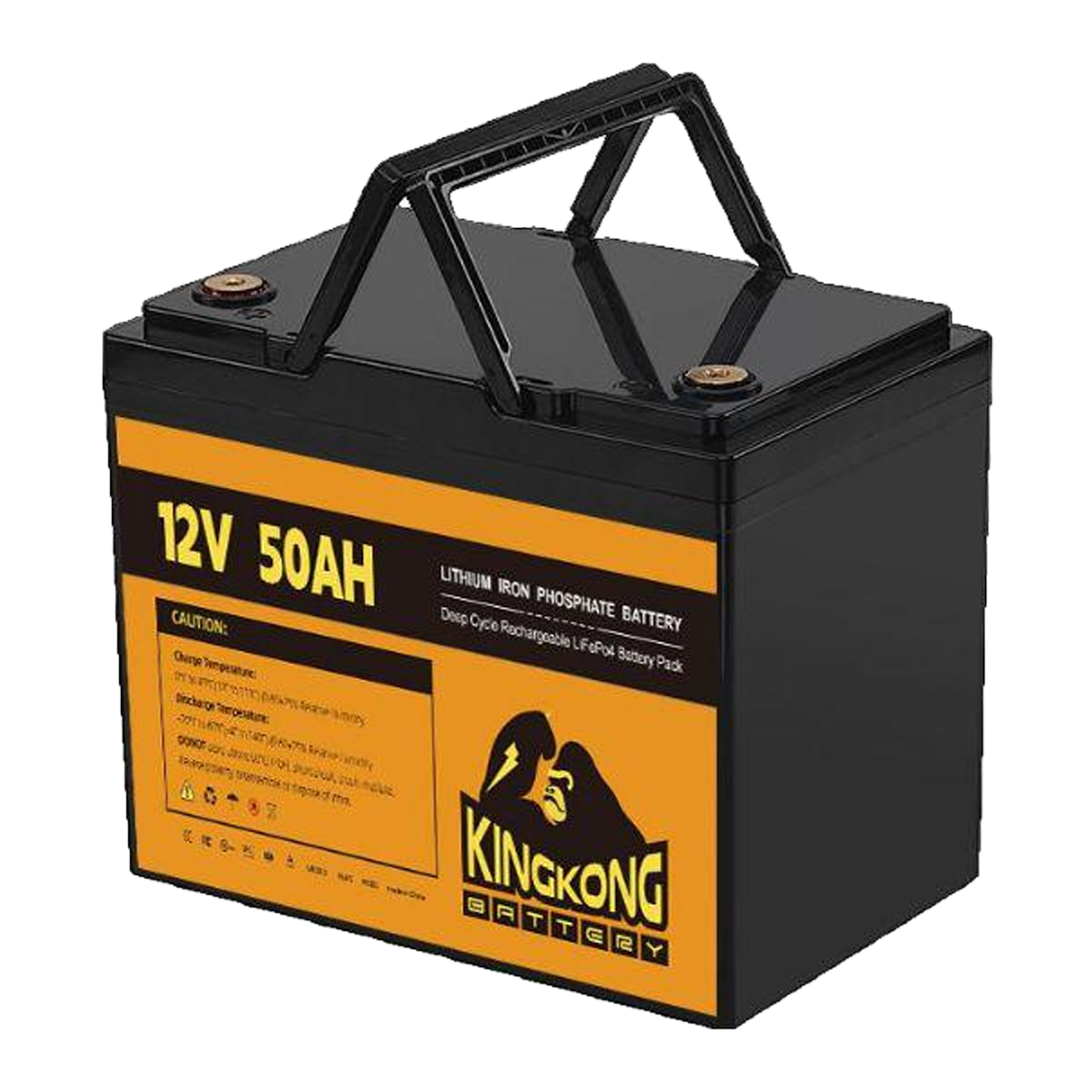 Portable (12.8V 50Ah)