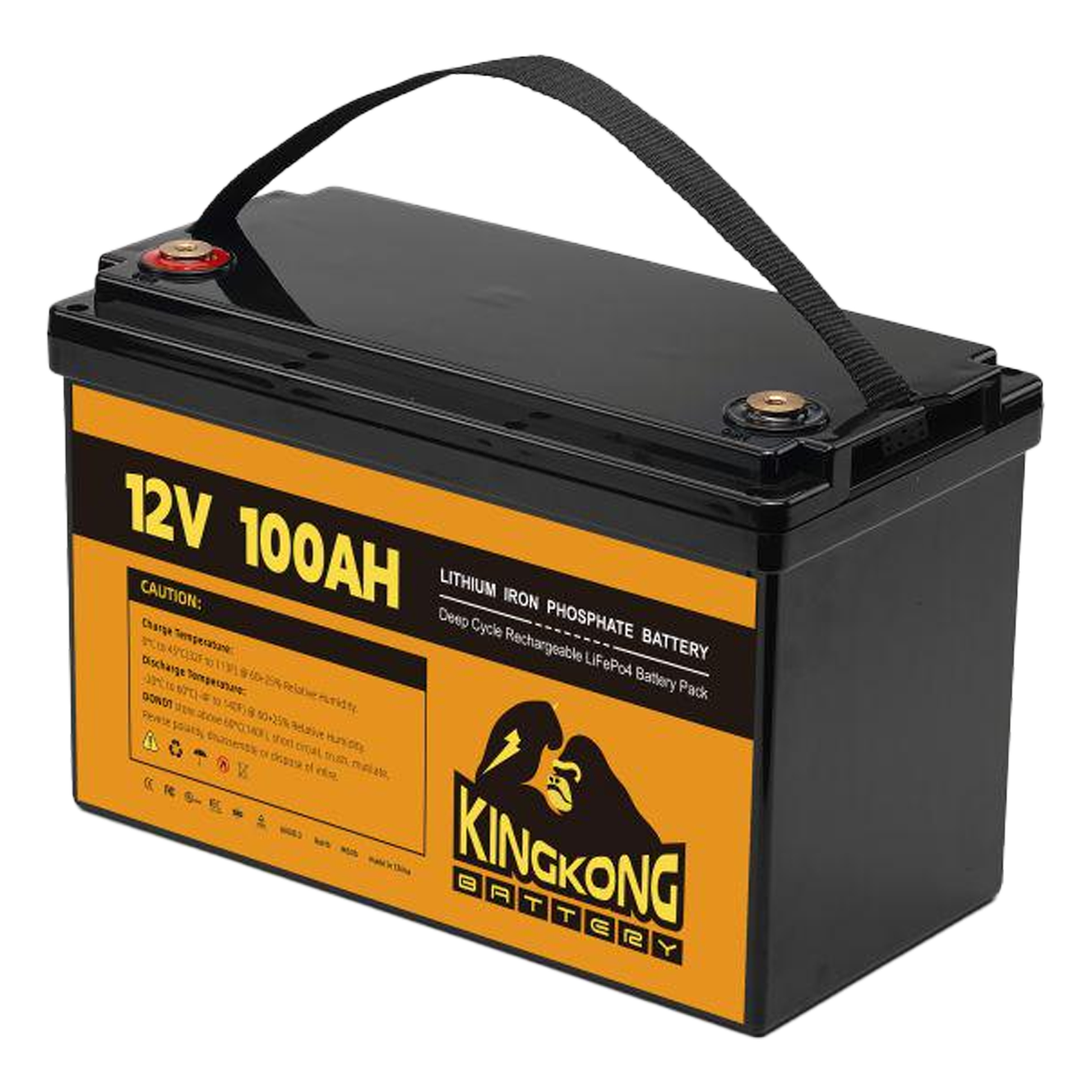 Portable (12.8V 100Ah)