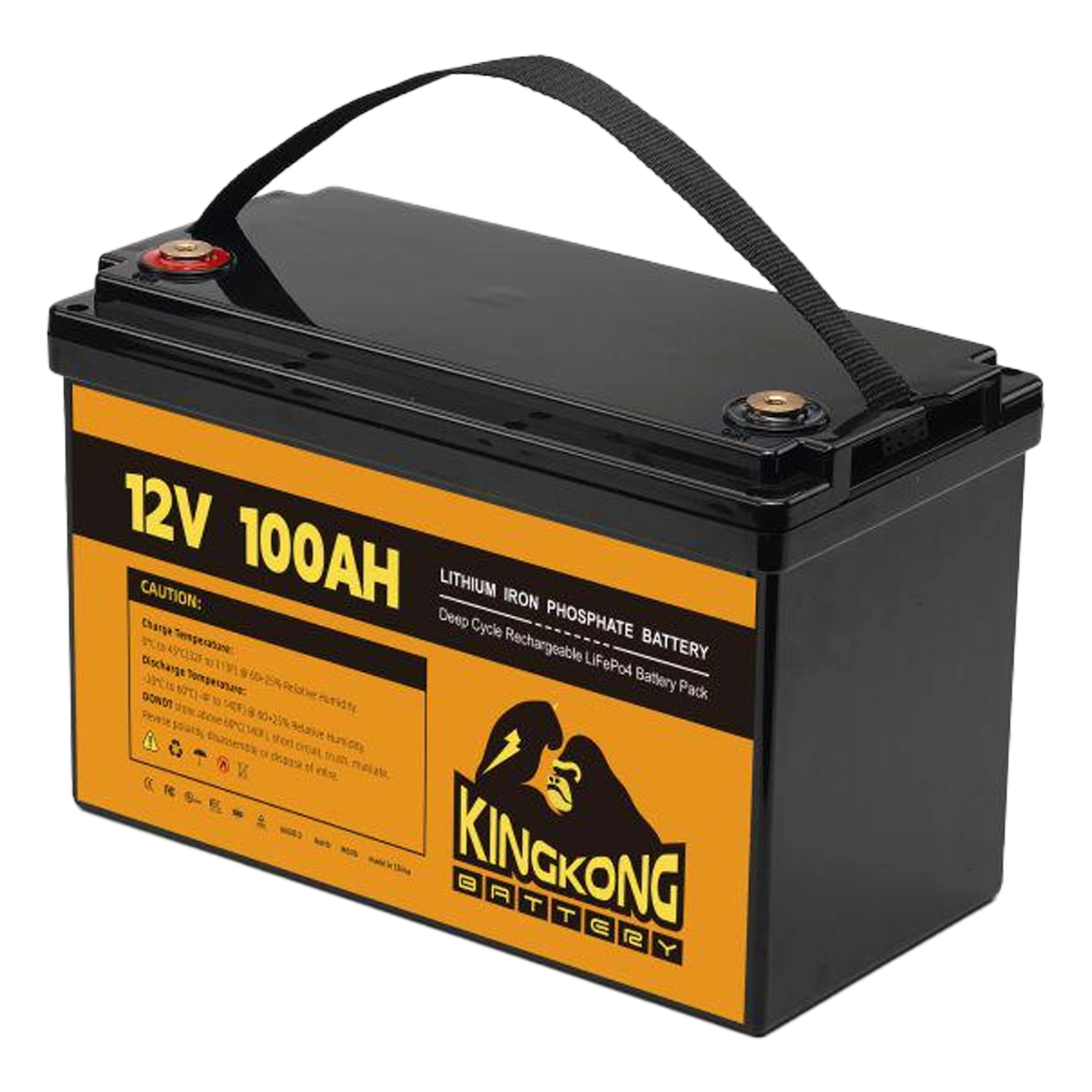 Portable (12.8V 100Ah)