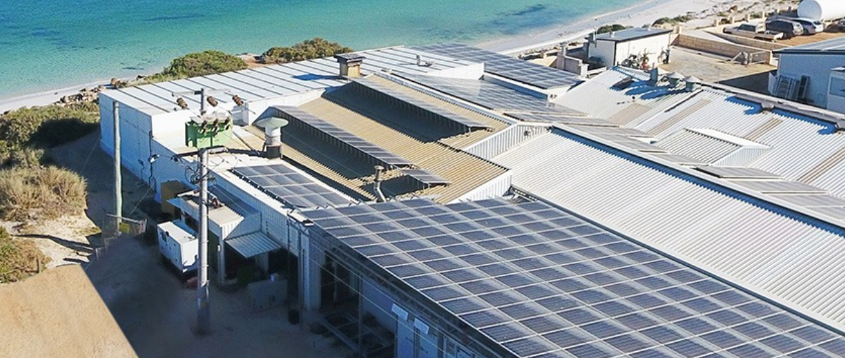How Commercial Battery Storage Helps Businesses Reduce Electricity Costs